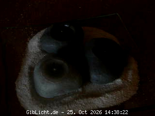 GibLicht.de Webcam